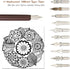 hhhouu Calligraphy Set for Beginners Quill Pen and Ink Set Fancy Pens with Black Ink and 11 Nibs for Lettering,Drawing, Journaling, Signing, Invit...