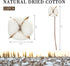 DomeStar 13 Bundles of Cotton Stems, 16.5" Natural Dried Cotton Stalks with Bolls Cotton Blooms Floral Stems for Vase Fillers...