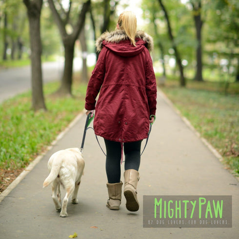 Mighty Paw Dual Handle Dog Leash - Reflective Lead with Two Handles - Dual Dog Leash Long - 2 Handle Dog Lead - Dog Leash with Traffic Loop Dog Le...