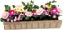 Miniature Potted Plant Flower Colorful 1:12 Mini Dollhouse Fairy Garden Bonsai Plant Clay Model Micro Landscape Decoration...