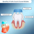 Triplefit Periodontal Toothbrush (Pack 4)...