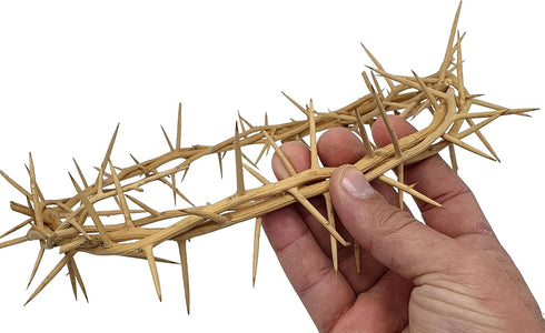 ZULUF 7.5" Crown of Thorns from Bethlehem Jerusalem – Authentic Holy Land Passion of Christ Gift Boxed Ornament HLG027...