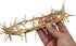 ZULUF 7.5" Crown of Thorns from Bethlehem Jerusalem – Authentic Holy Land Passion of Christ Gift Boxed Ornament HLG027...