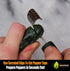 Cave Tools Jalapeno Pepper Corer and Deseeder to Peel or Slice Off Bell, Banana, or Chili Pepper Tops/Stems For Roasting Poppers on Grill, Smoker,...