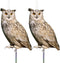 Fake Owls to Keep Birds Away, Bird Scare Devices, Bird Control, Cardboard Garden Decor Outdoor, Hanging Reflectors to Keep Pigeons Away from House...