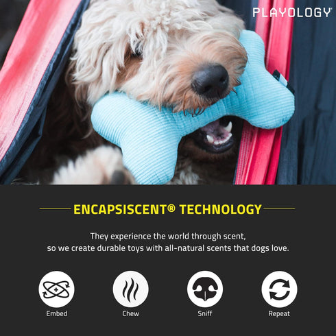 Playology Plush Squeaky Bone Dog Toy - Engaging All Natural Beef Scented Plush Dog Toy with Interactive Squeaker for Large Dogs (35lbs & Up) - Eas...