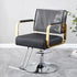 Salon Chair Cover - 20"x 15"x 4.5"Seat Covers Black,Salon Chair Covers Protectors,Square Salon Chair Covers Protectors fits Most Salon Chairs,Rein...