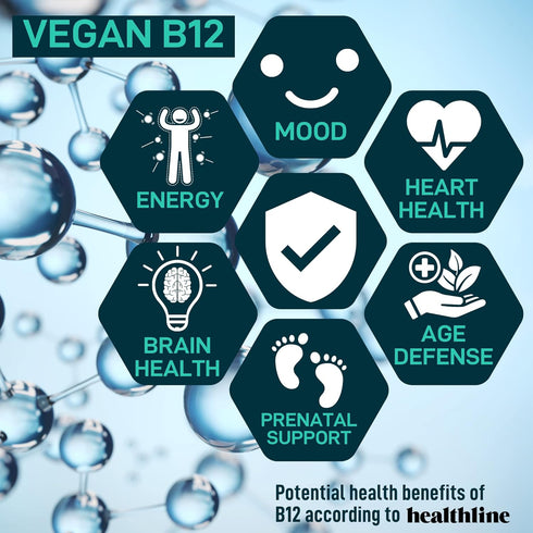 Vegan Probiotic Plus B12-22 Billion CFU Synbiotics Probiotics & Prebiotic for IBS, Digestive & Gut Health, Mood Support - B12 with FOS Pre Pro Pos...