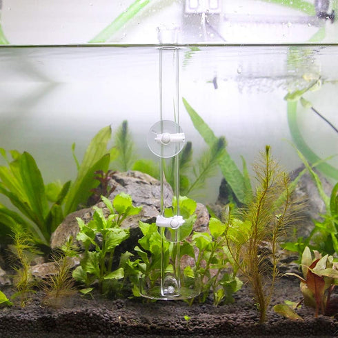 Senzeal Acrylic Shrimp Feeding Tube with Dish Aquarium Fish Tank Feeder for ShrimpTropical Fish (350mm/13.78'')...