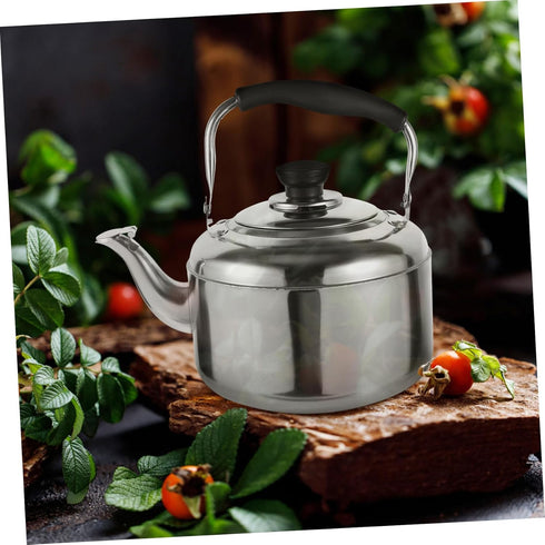 Cabilock Stainless Steel Kettle Stove Teapot Hot Water Kettle Kitchen Water Boiler Handheld Water Pot Tea Maker Pot Stovetop Tea Kettle Whistling ...