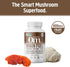 OM Mushroom Superfood Brain Fuel Mushroom Powder Capsules Superfood Supplement, 90 Count, 30 Days, Lion's Mane, Reishi Blend plus Folate, Mental C...
