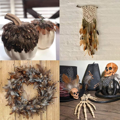 180pcs 9 Styled Natural Feathers Assorted Mixed Feathers for Jewelry and Dream Catcher Crafts...