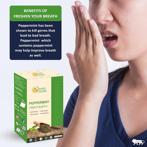 Herbs Botanica Dried Peppermint Leaves Fresh Mint Raw Aromatic Herbal Tea, Culinary Delight, and Natural Digestive Aid - Gluten Free, Non GMO, Res...