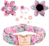 Lionheart Glory Dog Collar, Pink Dog Collar with Flower, Cute Floral Pattern Pet Collar Adjustable Dog Collar for X-Large Dogs...