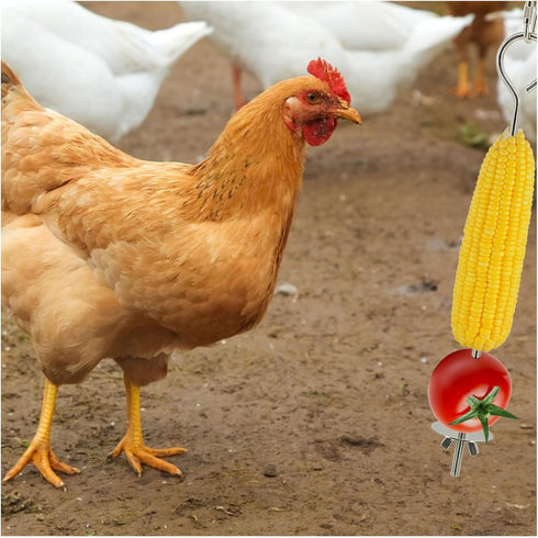 Andiker 2PCS Chicken Vegetable Skewer Fruit Holder, Stainless Steel Chicken Birds Hanging Feeder Toy for Hens Roosters Chicks Parrot...