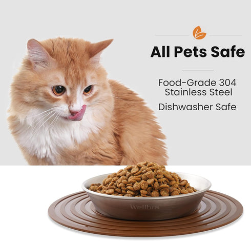 Cat Food Bowls, 2 Pcs Stainless Steel Cat Food and Water Bowls, Whisker Fatigue Shallow Cat Dishes, Small Dog Puppies Fat Faced Cat Kitten Supplie...