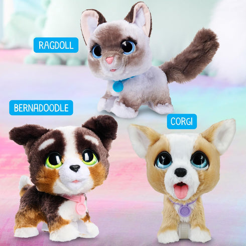 Just Play furReal Newborns Puppy Interactive Pet, Small Plush Puppy with Sounds and Motion, Kids Toys for Ages 4 Up...