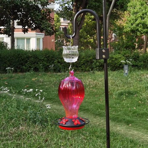 Glass Ant Moat for Hummingbird Feeder - 3 OZ Clear Tulip Insect Guard with Large Capacity...
