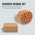 Hanroy Large Sea Sponges for Artists Unbleached 2pc Value Pack Art Texturing Decorators Sponging Great for Home Wall Painting Decorating (HMTZ-2)...