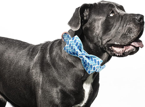 Dog Collar, Blue Print Adjustable Dog Bow Collar Boy Pet Collar Dog Bowtie Duarble Dog Collars for Small Medium Large Dogs...