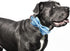 Dog Collar, Blue Print Adjustable Dog Bow Collar Boy Pet Collar Dog Bowtie Duarble Dog Collars for Small Medium Large Dogs...