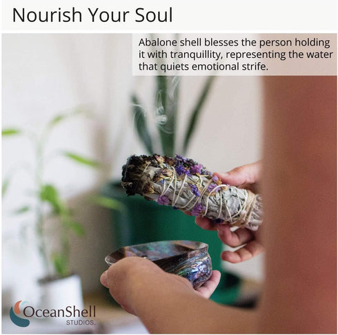 Polished Abalone Shell, 4.5" to 5.5", in Gift Box, for Smudging, Cleansing, Meditation, Home Décor and to Gift. 100% Natural Shell - Sustainably S...