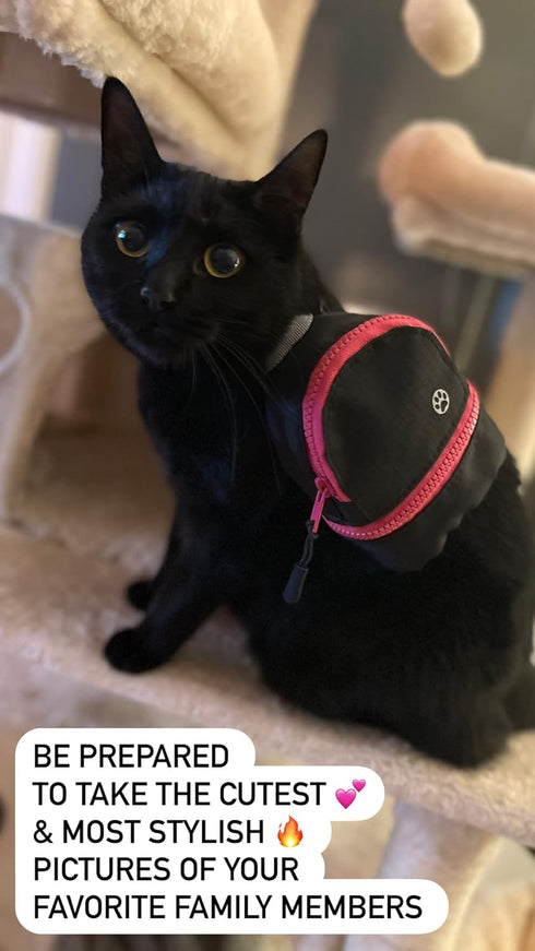 LLC Dog Backpack, Cat Backpack, Small Carrier | Clip on Harness or Leash, Fun Pet Treat Holder, Toy Bag, or Waste Dispenser | OG Neon Series Color...