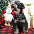 ARING PET Christmas Dog Collar-Green Santa Claus Dog Collar with Flower, Adjustable Cotton Christmas Pet Collars Girl Puppy Collars...