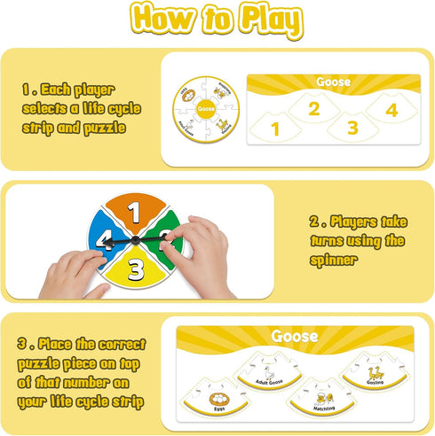 Life Cycle Toys for Kids,Toddler Puzzles,Animal Plant Insect Bug Ladybug Butterfly Tadpole to Frog Kit,Montessori Learning & Education Toys,Presch...