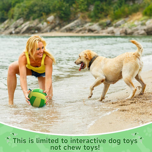 Dog Balls Dog Toys - 8 inch Dog Volleyball with Straps, Outdoor Dog Toys for Large Medium Dogs, Summer Dog Water Toy, Herding Ball, Puppy Dog Birt...