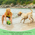 Dog Balls Dog Toys - 8 inch Dog Volleyball with Straps, Outdoor Dog Toys for Large Medium Dogs, Summer Dog Water Toy, Herding Ball, Puppy Dog Birt...