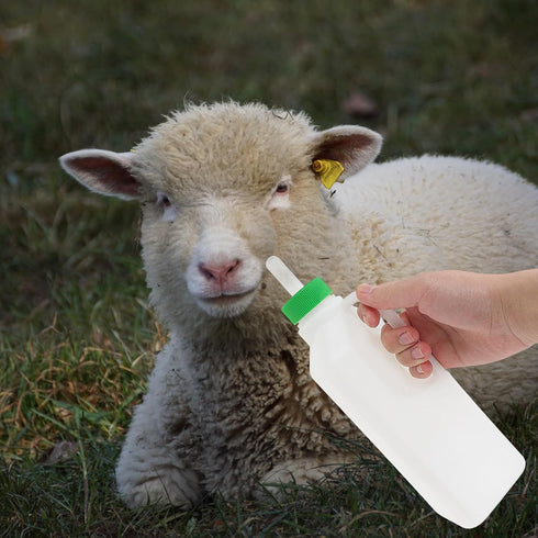 1 Set Lamb Feeding Bottle Lamb Feeding Tools Goat Feeding Bottle Pig Feeding Bottle Calves Bottle Sheep Milk Feeder Lamb Kids Bottle Goat Milk Bot...