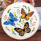 Embroidery Starter Kits with Dance Butterfly Pattern and Instructions, Plastic Embroidery Hoops,Threader,Color Threads and Needles,Embroidery Kit ...