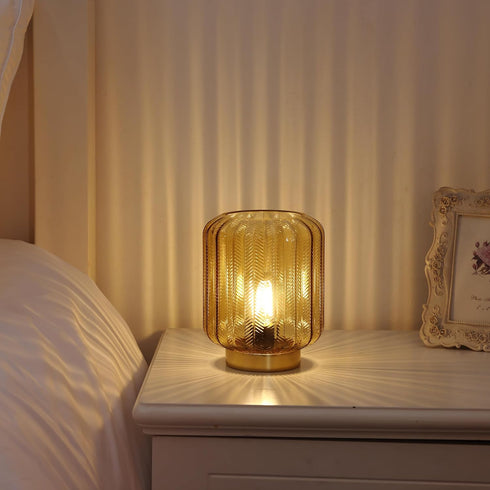 Battery Operated Lamp, Modern Table Lamp Cordless Bedside Lamps, Glass Battery Powered Lamp with LED Bulb Decorative Battery Operated Lamps for Li...