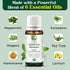 Center of Paradise Immune Restart Organic Essential Oil Blend for Immune Support* (10 ml) - USDA Certified & Non-GMO Blend of Eucalyptus, Peppermi...