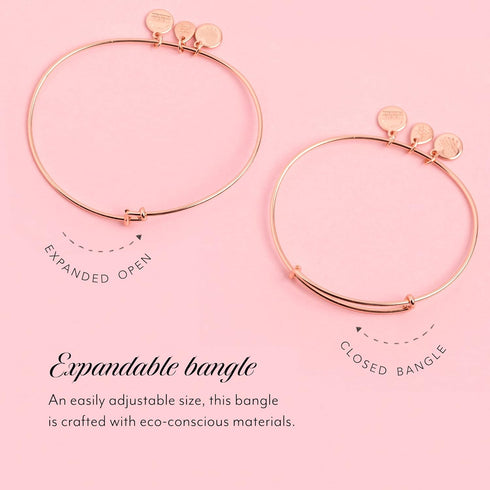 Alex and Ani Expandable Bangle for Women, Crystal Paw Prints of Love Charm, Rafaelian Finish, 2 to 3.5 in...