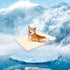 Dog Cooling Mat Cat Cooling Mat 15.7" x 11.8" Small Self-Cooling Pad for Dogs Sleeping Mats for Dog and Cat Durable Self Cooling Pet Blanket Outdo...