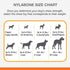 Beef Flavored Dog Bones Toys for Large and Small Pets/Dog Teeth Essential/Durable Chewing Toys...
