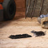 BLACK+DECKER Glue Traps for Mouse & Insect- Heavy- Duty Sticky Traps for Mice, Small Rats, Flies, Cockroaches & Other Bugs- Eco Friendly, Odorless...