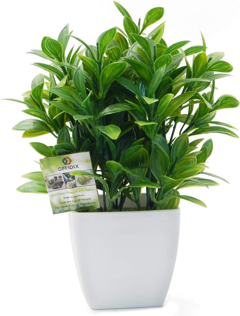 OFFIDIX Artificial Eucalyptus Plants with White Square Vase Small Artificial Tree for Office Desktop Decor Fake Plants for Home and Office Indoor ...