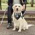 Be Kind I'm Blind Triangle Dog Bandana Blind Dog Devices for Blind Dogs Funny Puppy Bandana Photo Prop Pet Scarf Accessories for Pet Dog Lovers Gi...