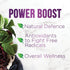 Elderberry Immune Support 10:1 Extract Capsules - Daily Immune Support Supplement for Adults, Natural Sambucus Black Elderberry Vitamins, Vegan Vi...