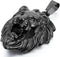 Cupimatch Lion Head Pendant Necklace, Mens Stainless Steel Gothic 22 Inch Biker Link Chain Gold Black...