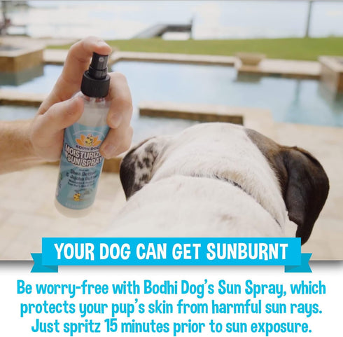 Bodhi Dog Sunscreen | Large 8oz SPF 30+ Moisturizing Pet Sunscreen | Safe for All Breeds of Dogs, Cats and Horses | Natural Skin Protection and Co...