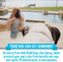 Bodhi Dog Sunscreen | Large 8oz SPF 30+ Moisturizing Pet Sunscreen | Safe for All Breeds of Dogs, Cats and Horses | Natural Skin Protection and Co...