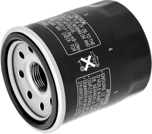 Road Passion 160970002 PH6017A 2520499 3084963 Oil Filter for HONDA VT1100 C C2 SHADOW SABRE 1997-2007 VT1100D2 SHADOW A.C.E.1998 VT1100C3 SHADOW ...