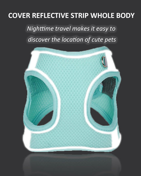 Dog Harness for Small Medium Large Dogs No Pull, Puppy Harness and Leash Set, Puppy Harness for Small Dogs, Step in Harness for Small Dogs, Small ...