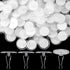 60 Pack Self-Adhesive Ceiling Hooks for Hanging,Damage-Free No-Drill Ceiling Discs, Removable Transparent Wall Hanger for Festival Wedding Birthda...