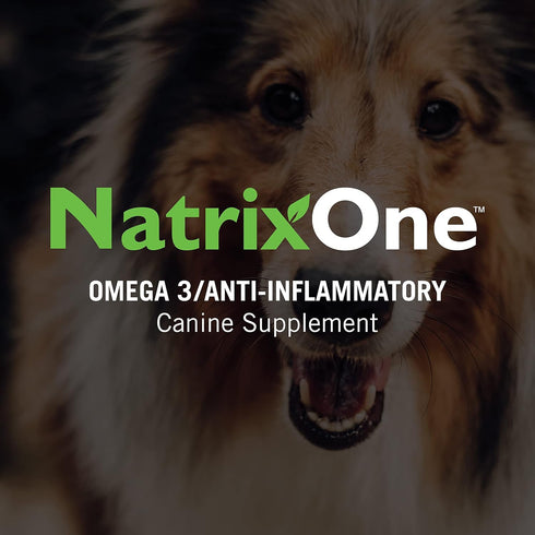 Camelina Oil for Dogs, Dog Skin and Coat Supplement All-Natural Supplements, Support Hearts, Joints, Coats, Skin and Anti-inflammatory Systems, Pr...