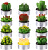 12 Pieces Cactus Tealight Candles Handmade Delicate Succulent Cactus Candles for Party Wedding Spa Home Decoration Gifts(Chic Style)...